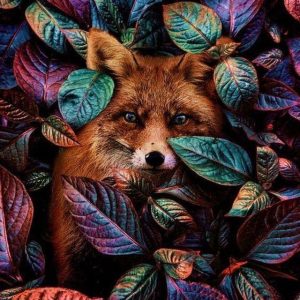 Volpe fra le foglie Diamond Painting | Seos Shop ®