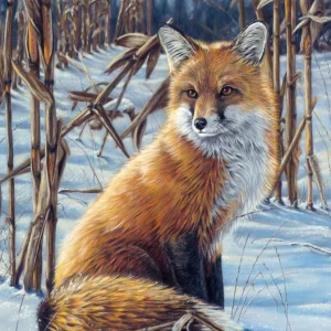 Volpe nella neve Diamond Painting | Seos Shop ®