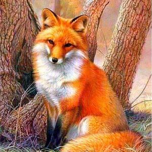 Volpe tranquilla Diamond Painting | Seos Shop ®