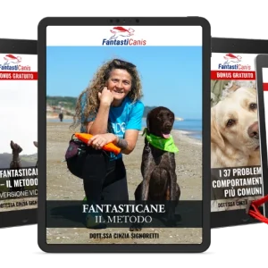 FantaBravo (Fantasticane + 1 pettorina + 1 guinzaglio)