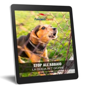 Stop all’abbaio: la guida in 7 giorni
