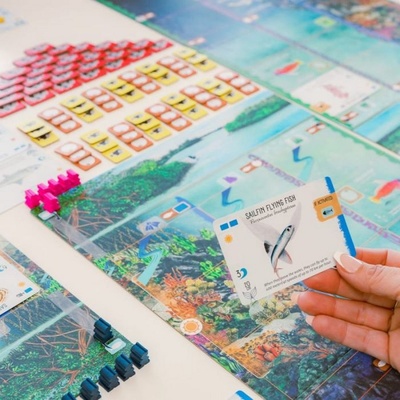 Finspan - immagine 5