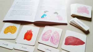 Il mio cofanetto Montessori del CORPO UMANO - immagine 3