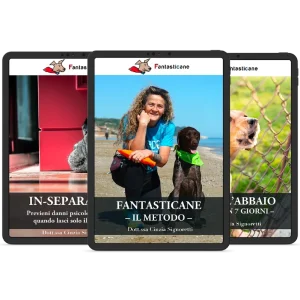 FantaControl (Fantasticane + stop abbaio + Inseparabili)