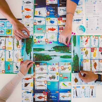 Finspan - immagine 3