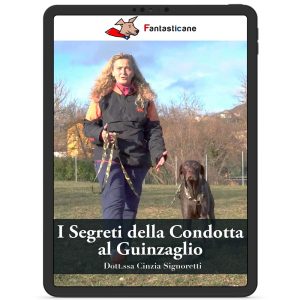 I Segreti della condotta al guinzaglio