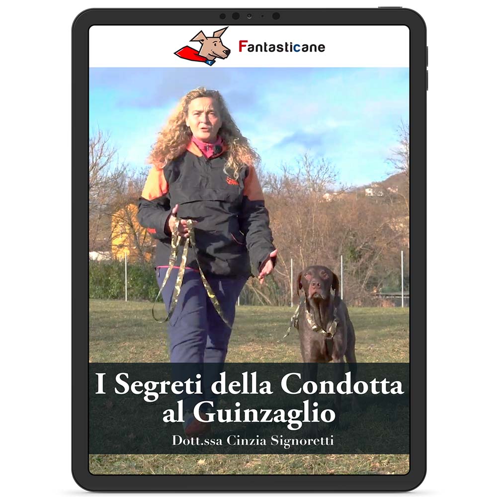 I Segreti della condotta al guinzaglio