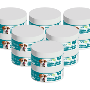 EnerCanis 12 Confezioni