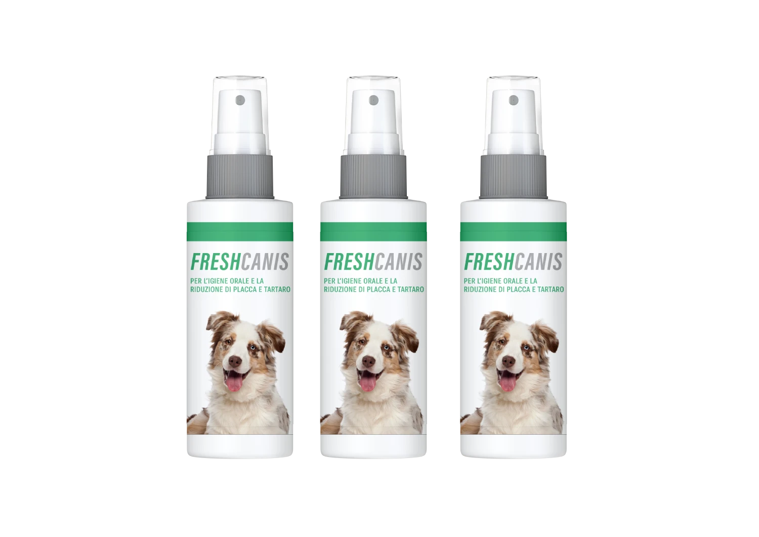 FreshCanis (100ml) - immagine 4