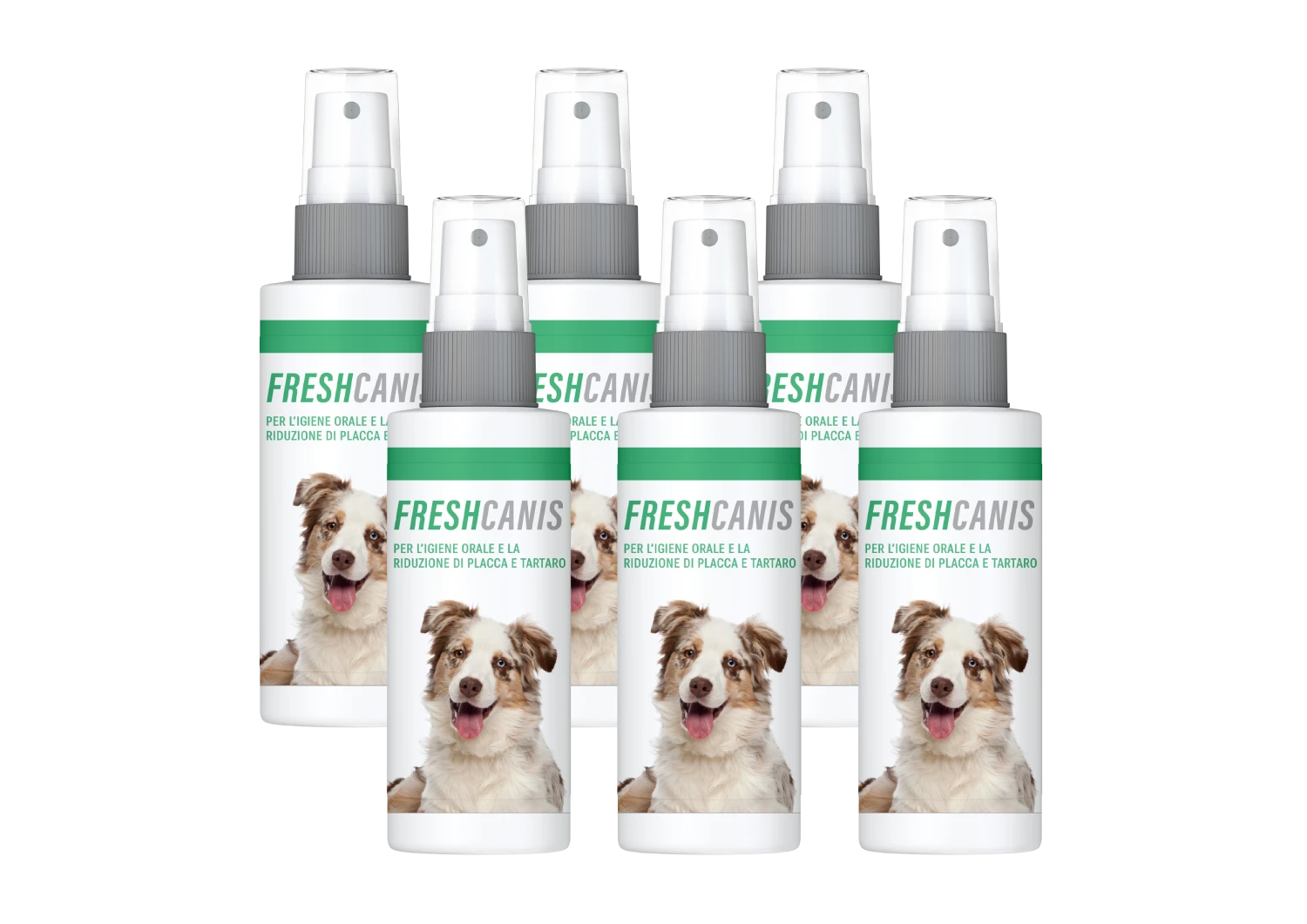 FreshCanis (100ml) - immagine 3