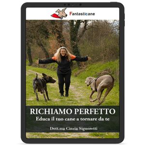 Il Richiamo Perfetto – Educa il tuo cane a tornare da te