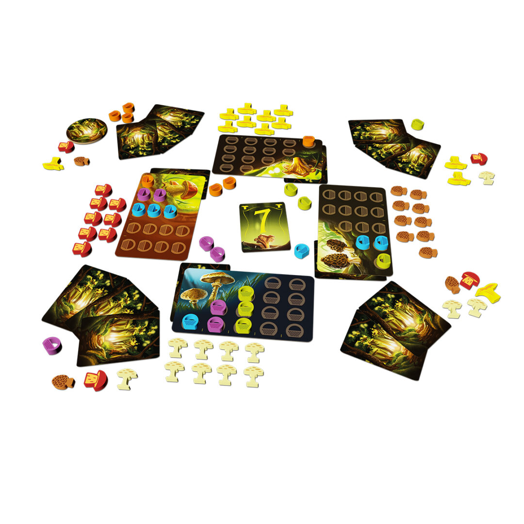 Wonder Woods - immagine 3